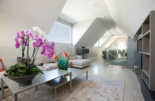 Mission District Condo | Luxurious apartment in SF's Mission District