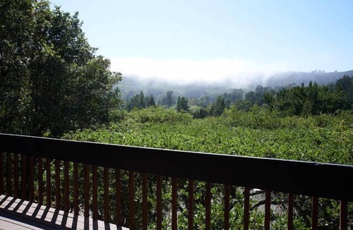 Tamalpais-Homestead Valley House | Mill Valley Vacation Retreat w/hot tub, trampoline and views
