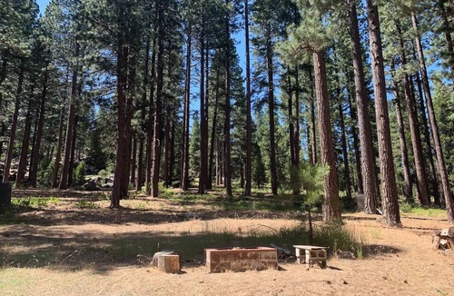 Calpine Cabin | Mountain Cabin with WiFi. Enjoy this quiet small-townnretreat