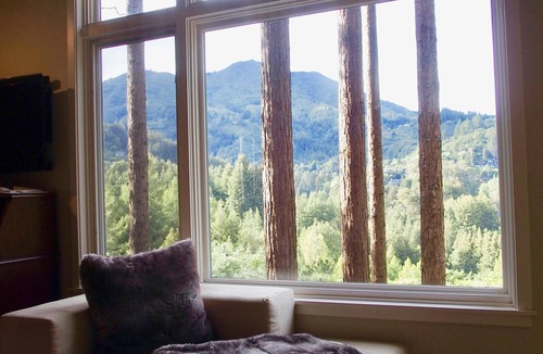 Mill Valley House | October sale! Beautiful Spacious, Private Mill Valley Home. Stunning view!