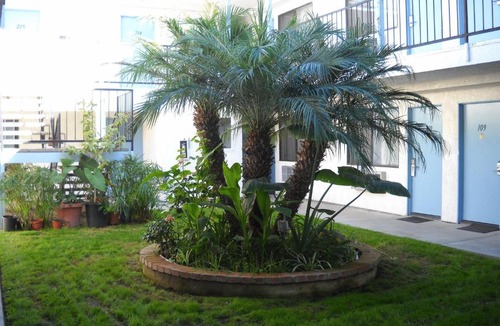 Westminster Hotel | Palms Courtyard Inn