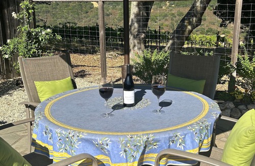 Fetters Hot Springs-Agua Caliente Apartment | Peaceful & Private Vineyard View Studio near Wineries, Restaurants, Hiking