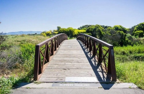 Mountain View Apartment | Perfect Getaway in the Heart of Mountain View!