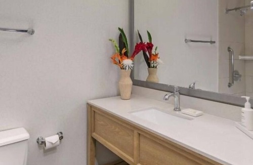Mission Beach Hotel | Perfect Stay in San Diego! Beach Access, Parking, Water Activities Onsite!