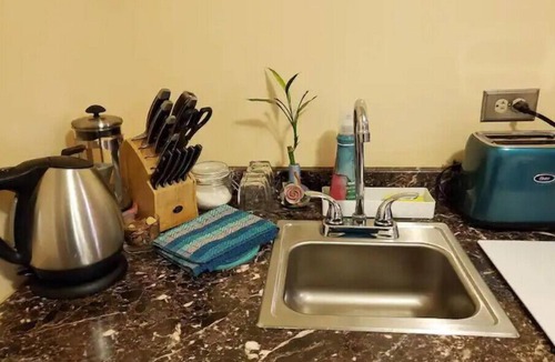 Presidio Heights Apartment | Private Charming Garden Guest Suite Presidio Hts.