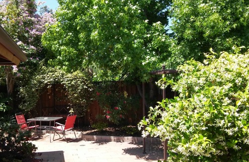 Guajome House | Private Quiet House Centrally Located