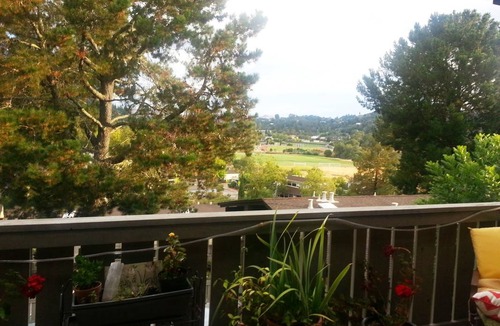 Larkspur Resort | Private room ∙ 1 guest