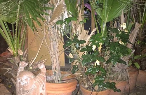 Silver Lake Resort | Private room ∙ 2 guests