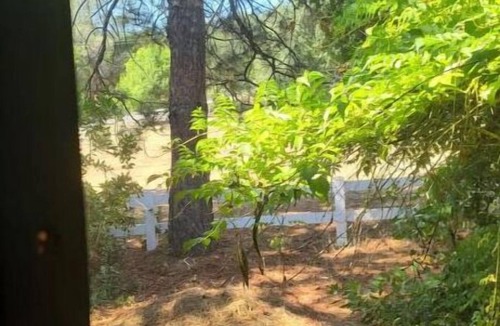 Rackerby House | Private Room in House w Heated Pool, Hot Tub, Sauna, Game Room, Beautiful Nature