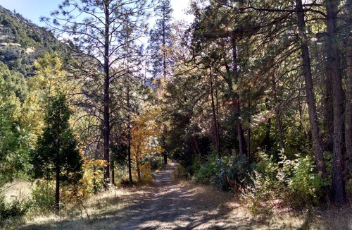 Klamath River RV Rental | Recreational vehicle (RV) ∙ 1 bedroom ∙ 2 guests