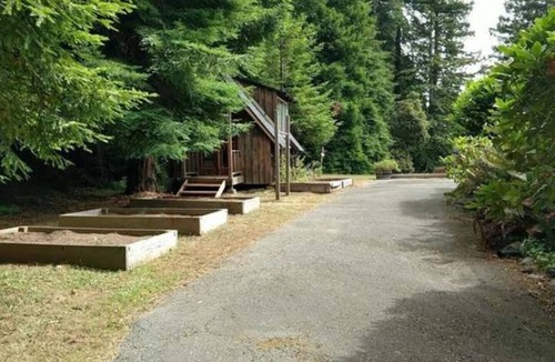 Arcata House | Redwood house (1 block from HSU)