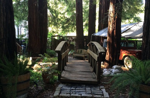 Fairfax Cottage | Relax in Fairfax quiet cottage in the redwoods.