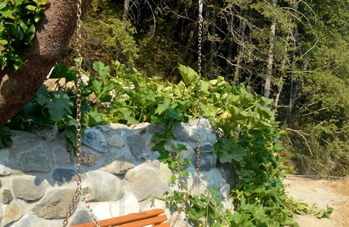 Gasquet Cabin | Remote Off-Grid-Rustic Tree House @ Sustainable Eco-Village