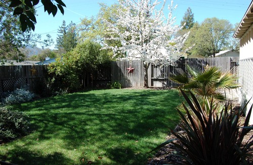 Boyes Hot Springs House | Retro Retreat: Cozy, Moderne, Affordable House in Wine Country.
