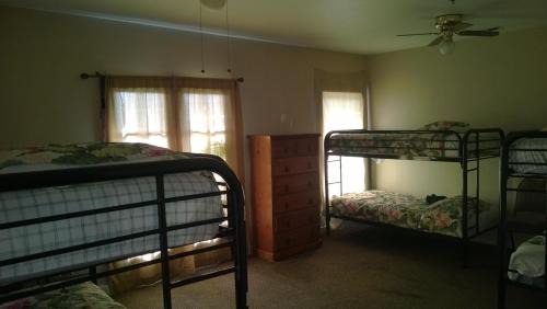 Little Italy Hostel | RK Hostel