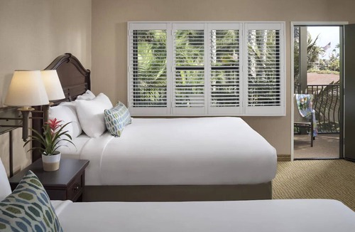 Central Mission Beach Hostel | Savor An Exhilarating Experience! Garden View, Pool, Easy Access To The Beach!