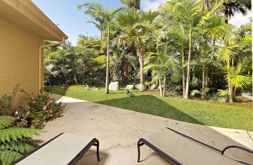 Central Mission Beach Hostel | Savor An Exhilarating Experience! Garden View, Pool, Easy Access To The Beach!