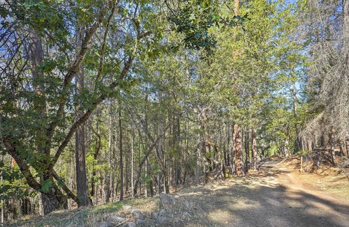 Douglas City House | Secluded Mountain Home near River - Dog-Friendly