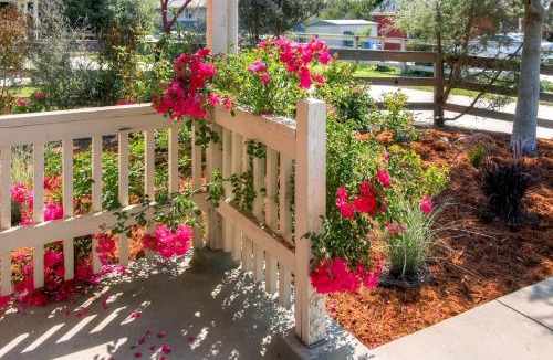 Point Reyes Station House | Serene Bungalow-Style Home in Point Reyes Station!