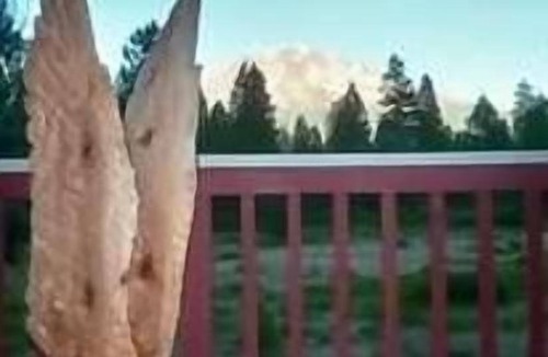 Weed House | Shasta Retreat on 35 Acres, Panoramic Mountain Views, Hot tub, Sauna, Starlink