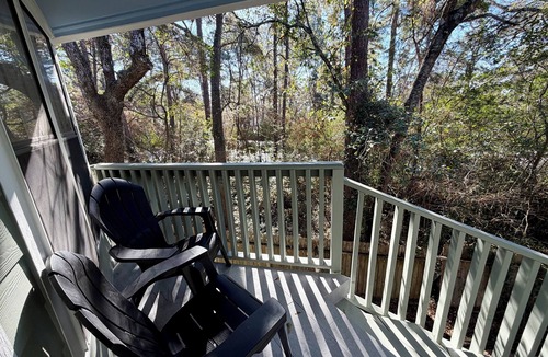 Panther Creek Apartment | Spacious 1BR Apt Retreat in The Woodlands: Private, Peaceful, Great Location