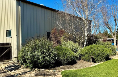 Solvang House | Spacious contemporary house in the heart of Los Olivos