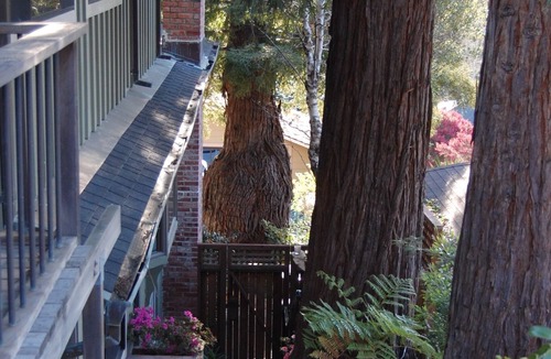 Mill Valley House | Superb location. Spacious, Open And inviting House With Pool/Sauna. Zip to SF