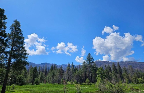 Mill Creek Hotel | The Black Forest Lodge