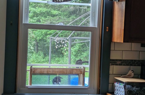 Cavendish House | The fireflies & waterfalls are calling! Book your Vermont Summer getaway now!
