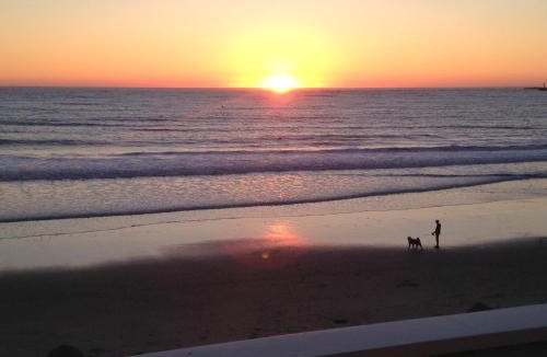 El Granada Hotel | The Oceanfront Stay on MiramarBeach HMB