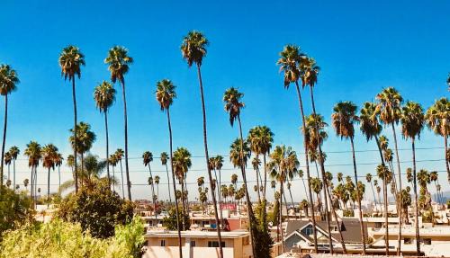 Wilshire Bed & Breakfast | The Olympic Suites LA