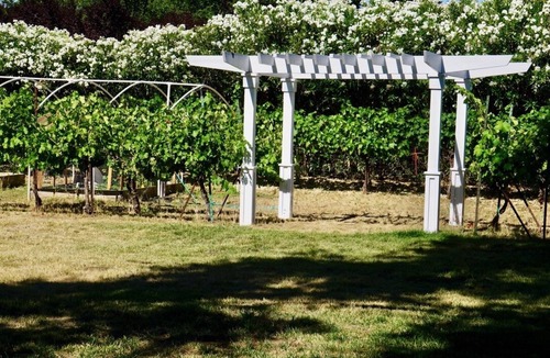 Finley Apartment | THE RIPE CHOICE FARM STAY