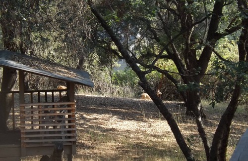 Groveland Cabin | Vacation in Yosemite/Lakes /Hiking /Yosemite falls, Yosemite valley, 1650 SF