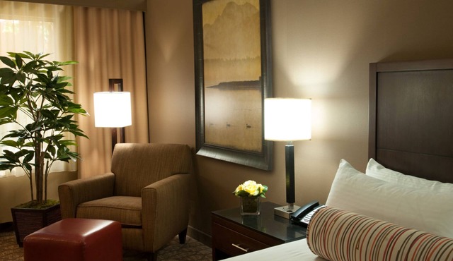 Airtel Plaza Hotel