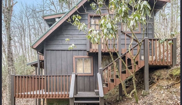 Couples Getaway cozy Cabin by trails in Blue Ridge