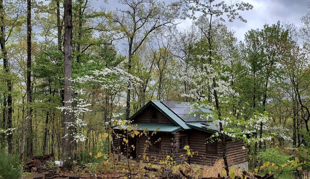 Cozy Cabin on 11 acres w/Lake&Mtn Views. wifi, great cell svc. & moderated AC.