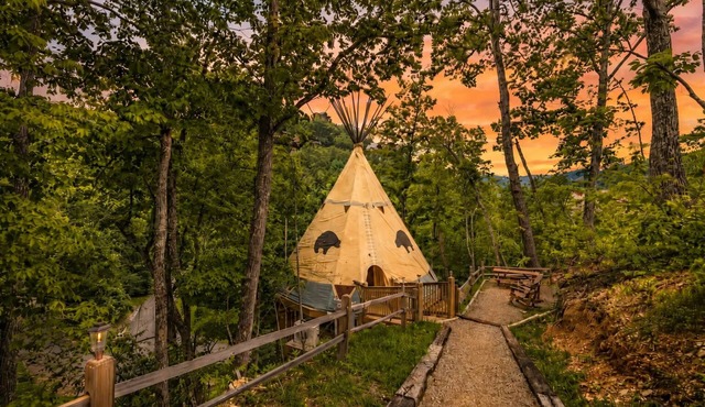 Family Cub House at Parkside Resort Cozy Smoky Stay Sleeps 4