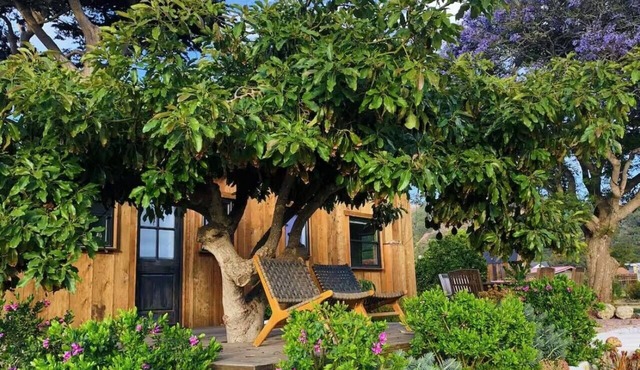 Flora Farm Cottage | Hot Tub, Creek & Fresh Eggs