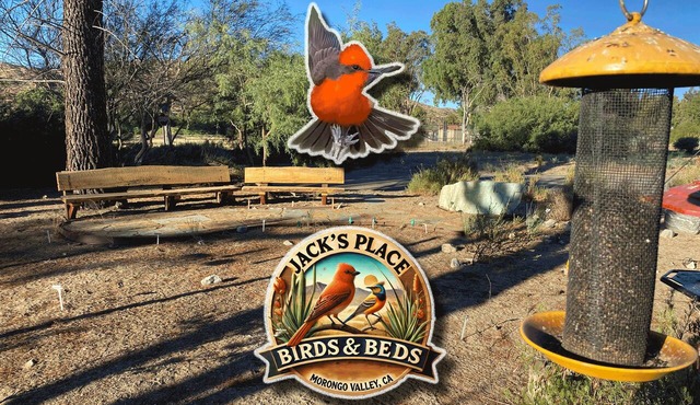~(‾▿‾)~ Jack's Place ~ Birding Bliss & Cozy Beds Await!