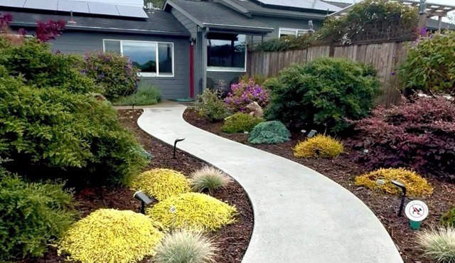 Krishna's Garden