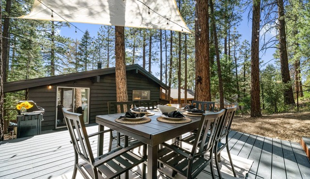 Large Fenced Yard | Fire Pit | A/C | EV Charger | Mountain View at Antler Inn