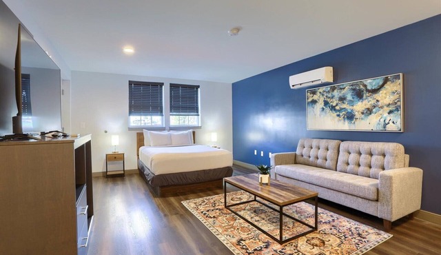 Modern Clean Pet Friendly Hotel Room