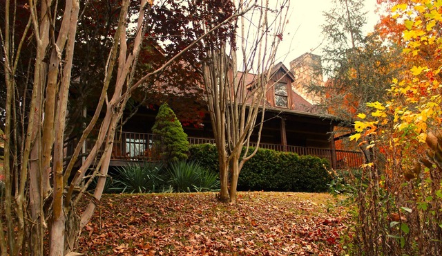 Sleeps 8- Private and Spacious 2200 sf cabin on 1.2 acres with large game room.