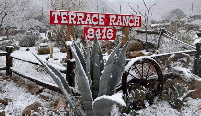 Terrace Ranch/The View