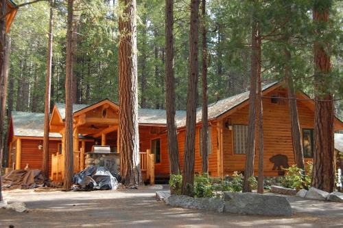 The Redwoods Yosemite 
