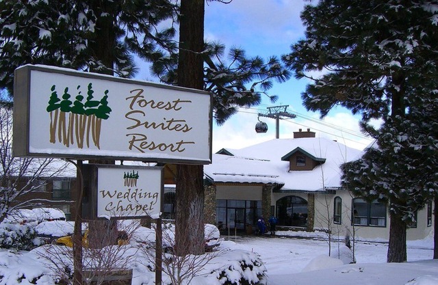 Forest Resort At Village Nights 