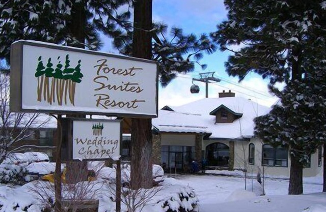 Forest Resort At Village Nights 