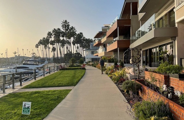Belmont Shore 