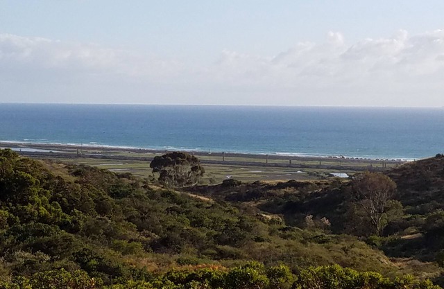Private entrance 1 bedroom flat close to the beach in a quiet neighborhood