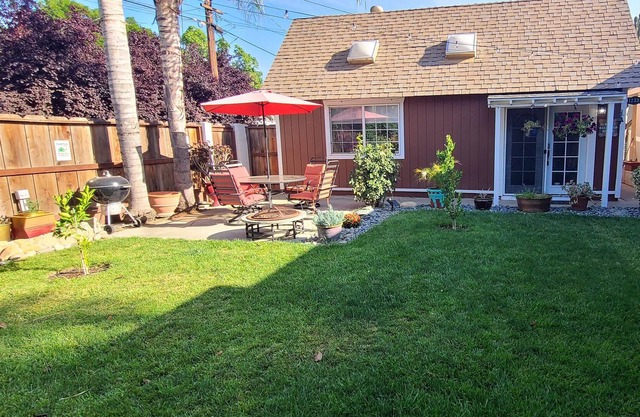 The Backyard 